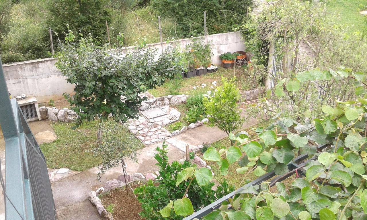 Danijela Apartmani Čanj Exterior foto